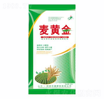 ���S��-�ѿ�