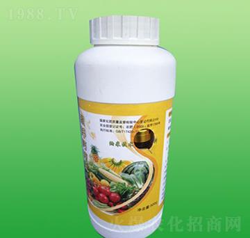 �~���-ʩ����