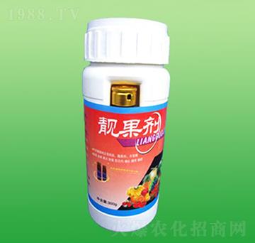 �����-ʩ����