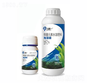 ������-�ż�һ