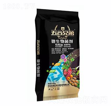 ΢�������-����ֵ�-�֝����S