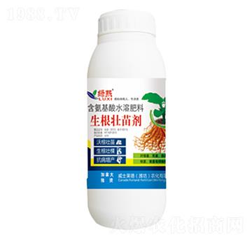 �������焩-�G��-��ʿ�R��