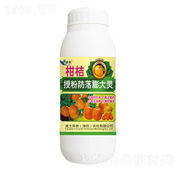 �����ڷ۷�������`-�G��-��ʿ�R��