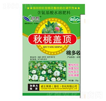 �����w�-�G��-��ʿ�R��