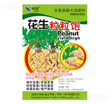 ���������-�G��-��ʿ�R��