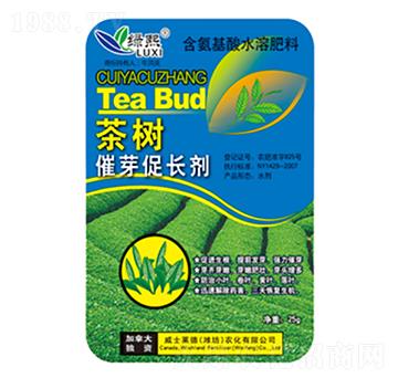 ���(sh��)��ѿ���L(zh��ng)��-�G��-��ʿ�R��