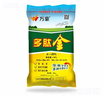 25%���Ľ�-�f��