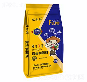 ΢�������-����1̖-������