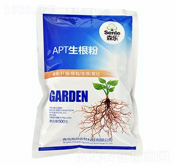 APT������-ɭ��-�����r��