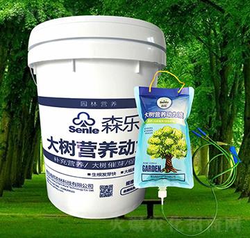 ���I(y��ng)�B(y��ng)��(d��ng)��Һ-ɭ��-�����r(n��ng)��