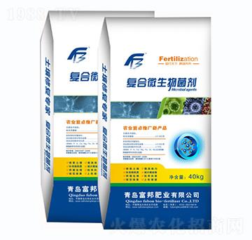 �ͺ�΢�������-����ʘI(y��)