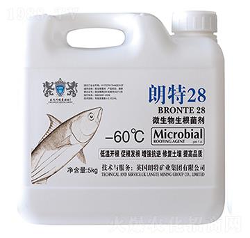 ΢������������-����28-Ӣ����