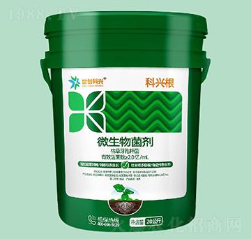 ΢�������-���d��-����(chu��ng)���d