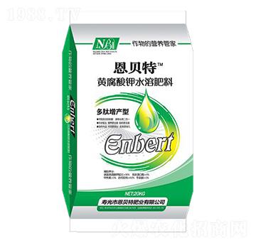 �S�����ˮ�ܷ���-��ؐ��