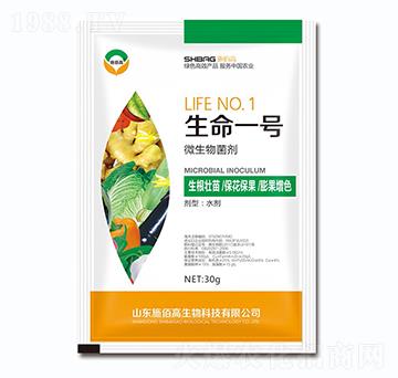 ΢�������-����һ̖-ʩ�۸�