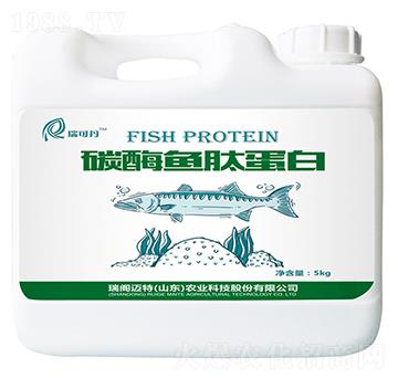 ø���~�ĵ���-��ɵ�-���w�~��