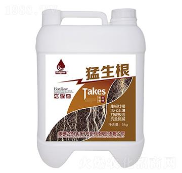 ������-���w�~��