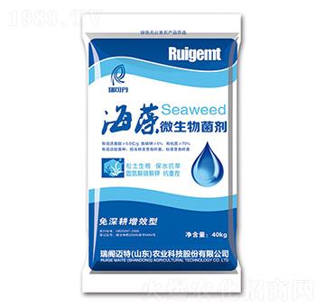 ����΢�������-��ɵ�-���w�~��