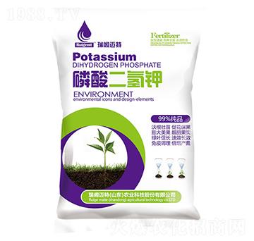 ��������-���w�~��