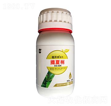 200ml摘夏梢-桂開豐-桂開生物