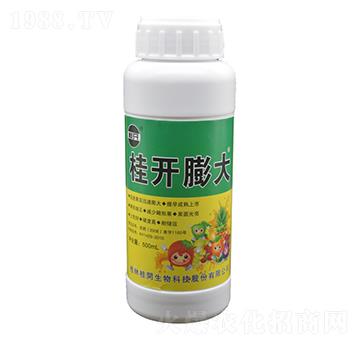 500ml桂開膨大-桂開生物