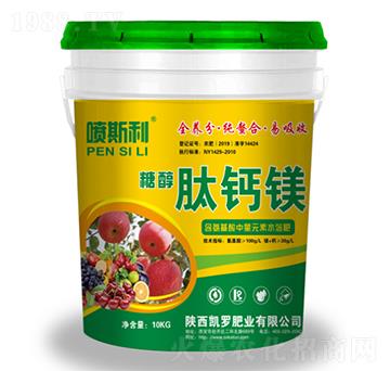 ��˹���Ǵ����}�V-�P�_�ʘI(y��)