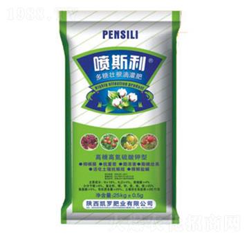 ���ǉѸ��ι��-��˹��-�P�_�ʘI(y��)