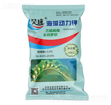 �������⛣��ۄ���-껳Ɍ��I(y��)