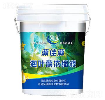 ���~���sҺ-�����-껳Ɍ��I(y��)