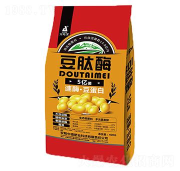 ΢�������5�|��-����