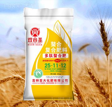 �p��ʥ���ϏͺϷ�25-11-12-����