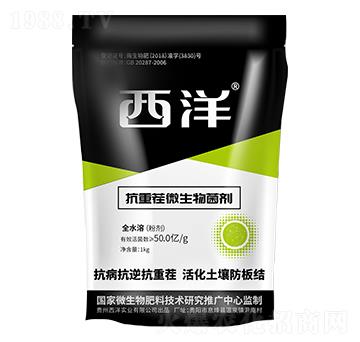 ���ز�΢�������-����(sh��)�I(y��)