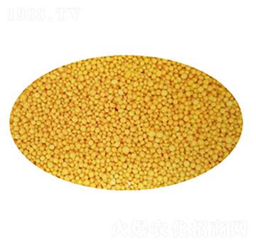 ��(sh��)֬���������w��-ʢ���Ƴ�