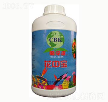 ���Ќ�-�n����