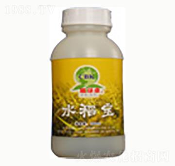 ˮ����-�n����