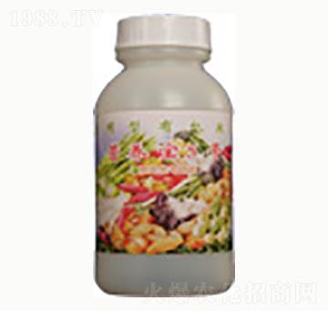 �I(y��ng)�B(y��ng)��5̖(h��o)-�n����