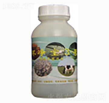 �h(hu��n)��3̖-�n����