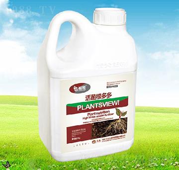 ��������-������