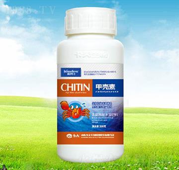 �ך���-������