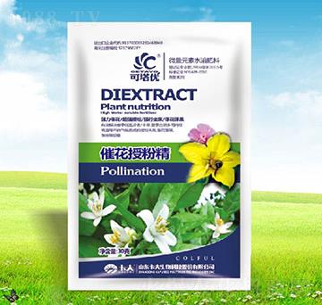 �߻��ھ���-������(y��u)-������