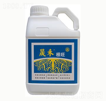 �ɺ̸���-�����r(n��ng)�I(y��)