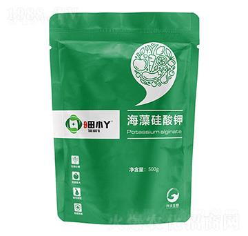 ��������-��СѾ-�_������