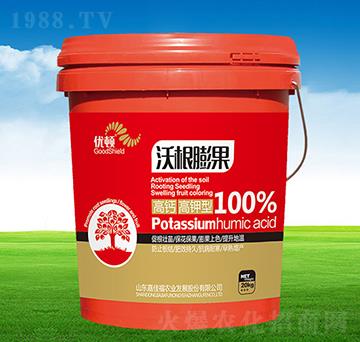 �ָ����-��(y��u)�D-�μѸ�