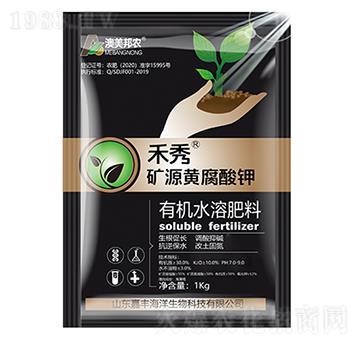 ����VԴ�S�����-���S