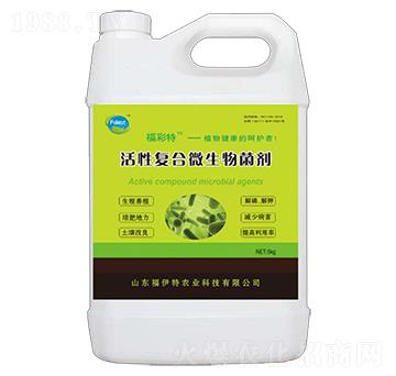 ���ԏ�(f��)��΢�������-������-������