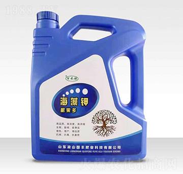 �����-������-��(gu��)�S�ʘI(y��)