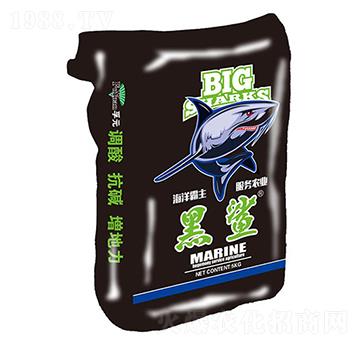 ����-��Ԫ