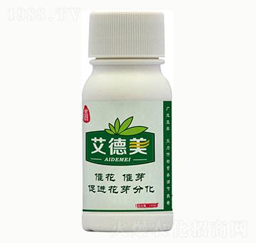 ������-�{���r��