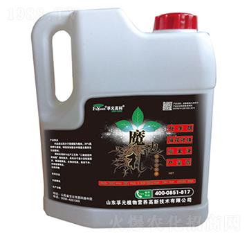 ħ����-��Ԫ