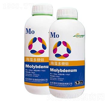 ��������f-�ؾ�����